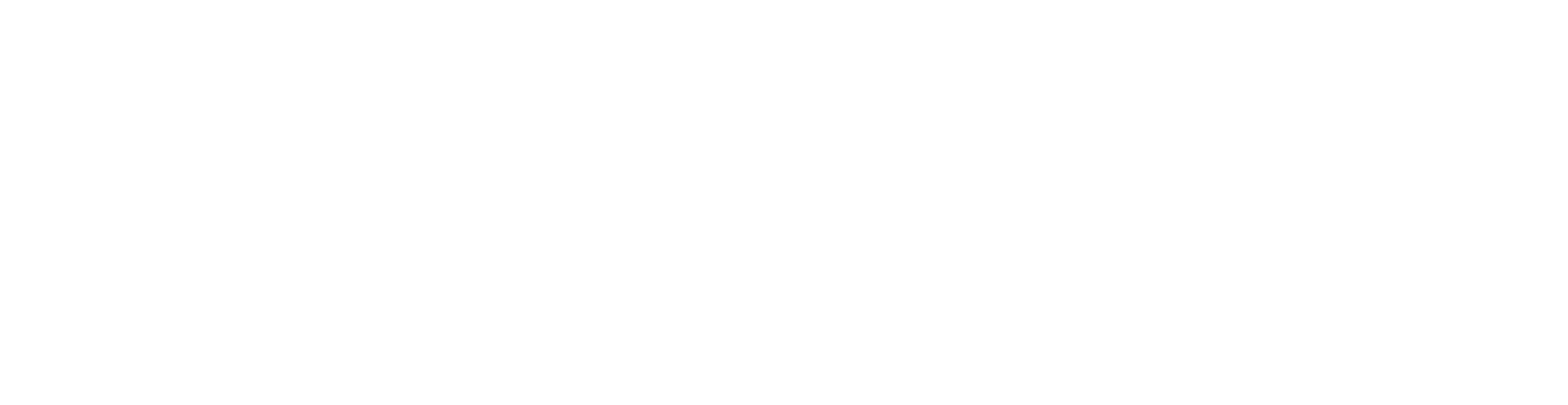 Groupe TransNumerik